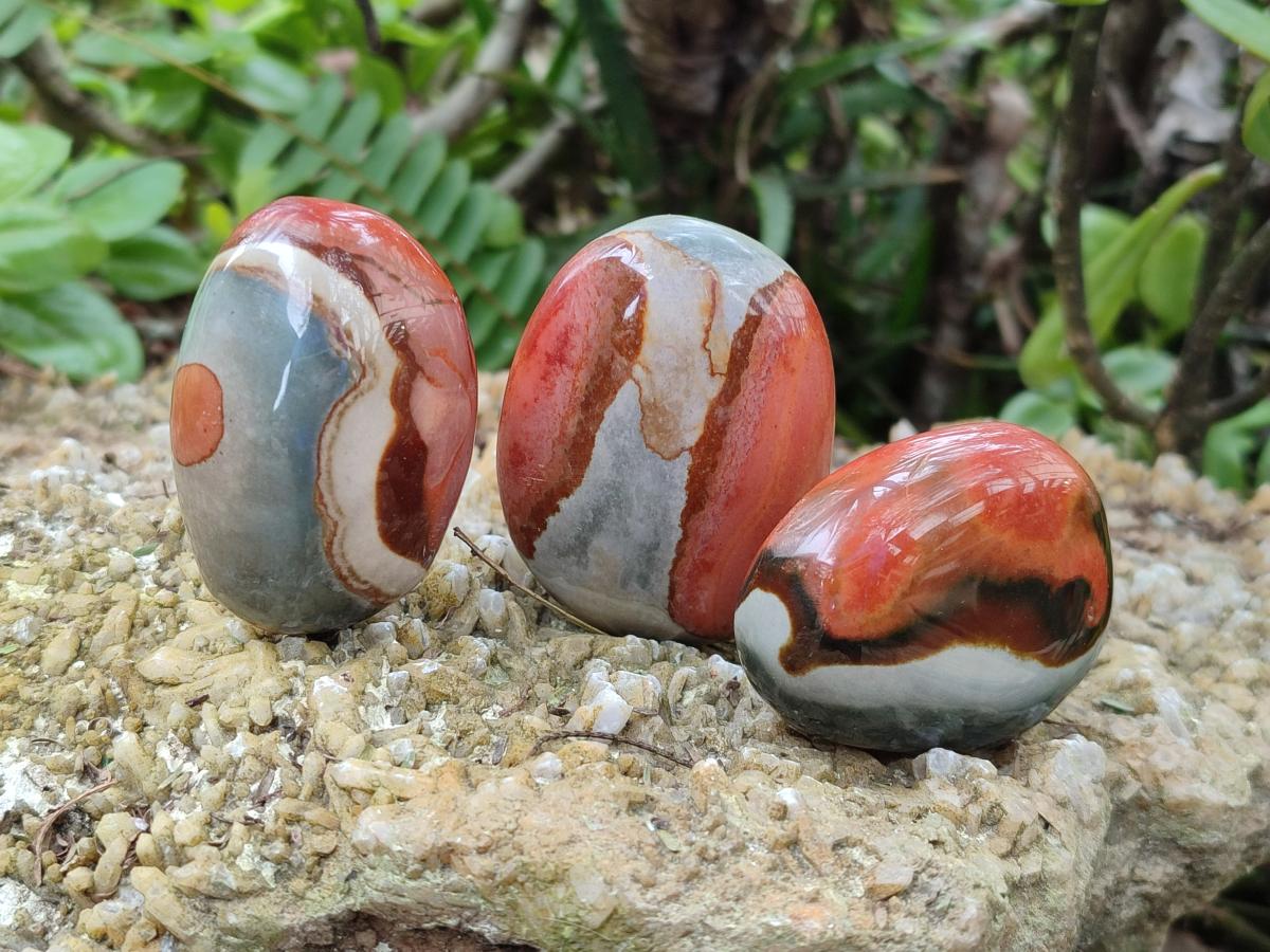 Polished Polychrome Jasper Galets x 24 From NW Coast, Madagascar - Toprock Gemstones and Minerals 