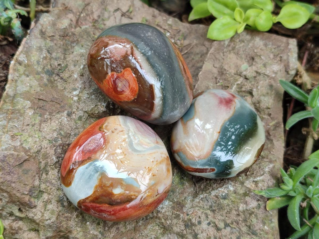 Polished Polychrome Jasper Galets x 24 From NW Coast, Madagascar - Toprock Gemstones and Minerals 