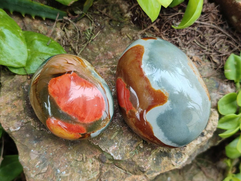 Polished Polychrome Jasper Galets x 24 From NW Coast, Madagascar - Toprock Gemstones and Minerals 