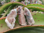 Natural Drusy Hematoid Tinted Fairy Spirit Quartz Single Crystals  x 70 From South Africa - Toprock Gemstones and Minerals 