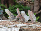 Natural Drusy Hematoid Tinted Fairy Spirit Quartz Single Crystals  x 70 From South Africa - Toprock Gemstones and Minerals 