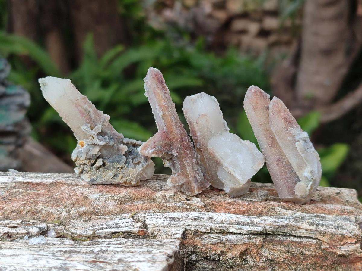 Natural Drusy Hematoid Tinted Fairy Spirit Quartz Single Crystals  x 70 From South Africa - Toprock Gemstones and Minerals 