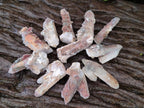 Natural Drusy Hematoid Tinted Fairy Spirit Quartz Single Crystals  x 70 From South Africa - Toprock Gemstones and Minerals 