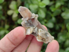 Natural Drusy Hematoid Tinted Fairy Spirit Quartz Single Crystals  x 70 From South Africa - Toprock Gemstones and Minerals 