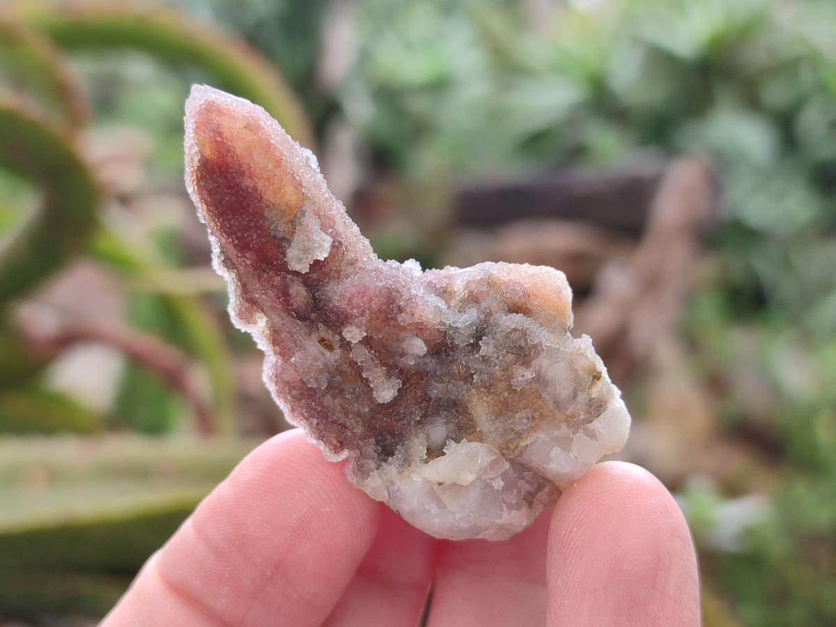 Natural Drusy Hematoid Tinted Fairy Spirit Quartz Single Crystals  x 70 From South Africa - Toprock Gemstones and Minerals 