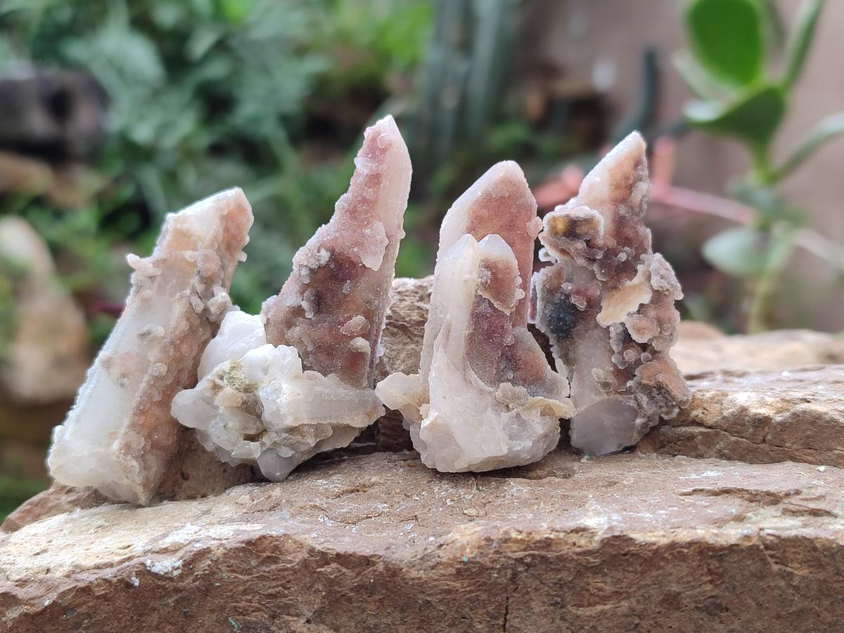 Natural Drusy Hematoid Tinted Fairy Spirit Quartz Single Crystals  x 70 From South Africa - Toprock Gemstones and Minerals 