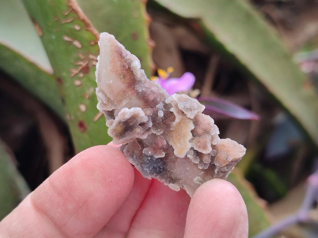 Natural Drusy Hematoid Tinted Fairy Spirit Quartz Single Crystals  x 70 From South Africa - Toprock Gemstones and Minerals 