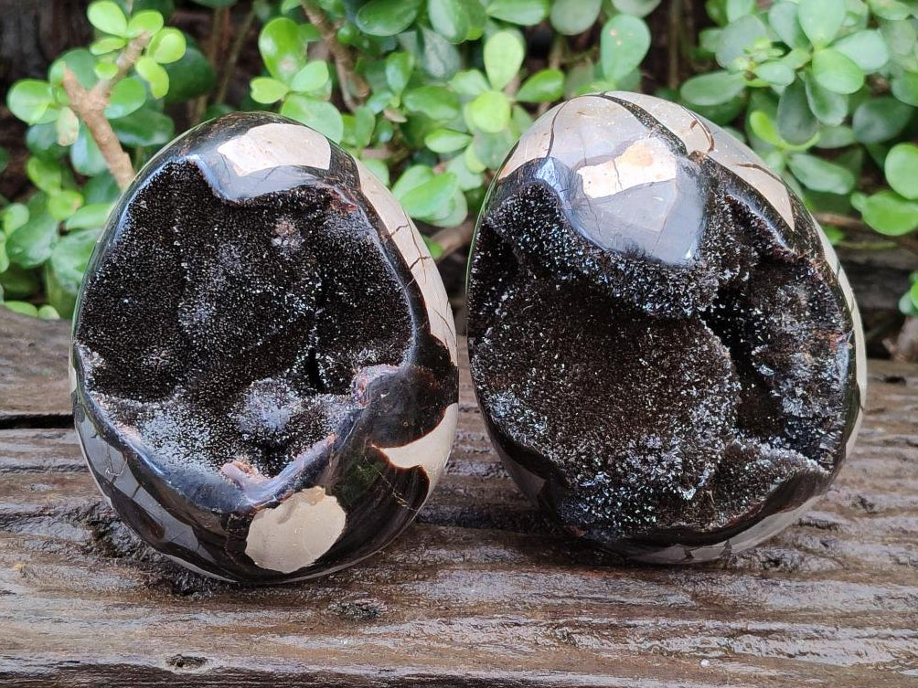 Polished Septerye Sauvage "Dragons Egg" Geodes x 2 From Mahajanga, Madagascar - Toprock Gemstones and Minerals 