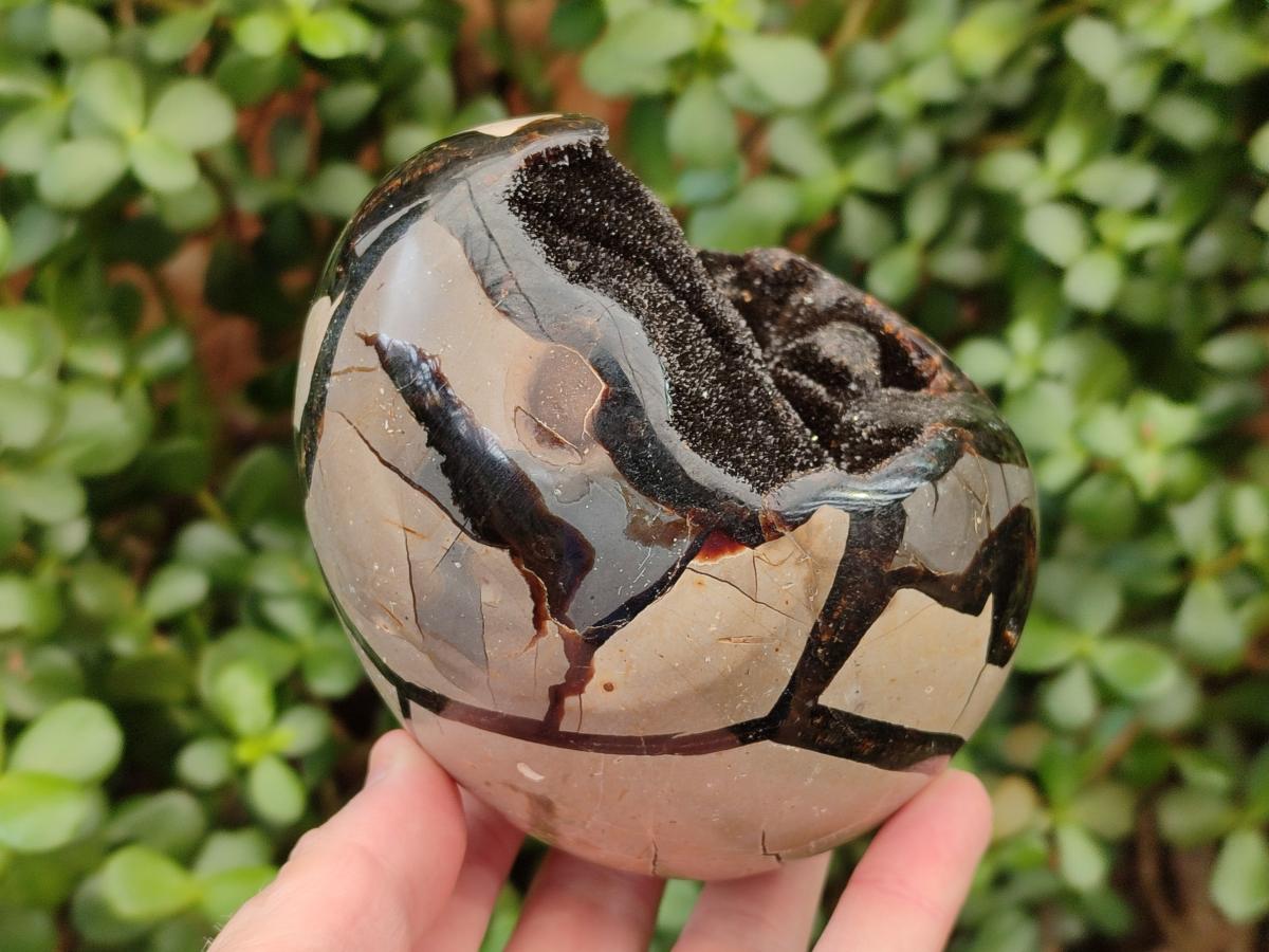 Polished Septerye Sauvage "Dragons Egg" Geodes x 2 From Mahajanga, Madagascar - Toprock Gemstones and Minerals 