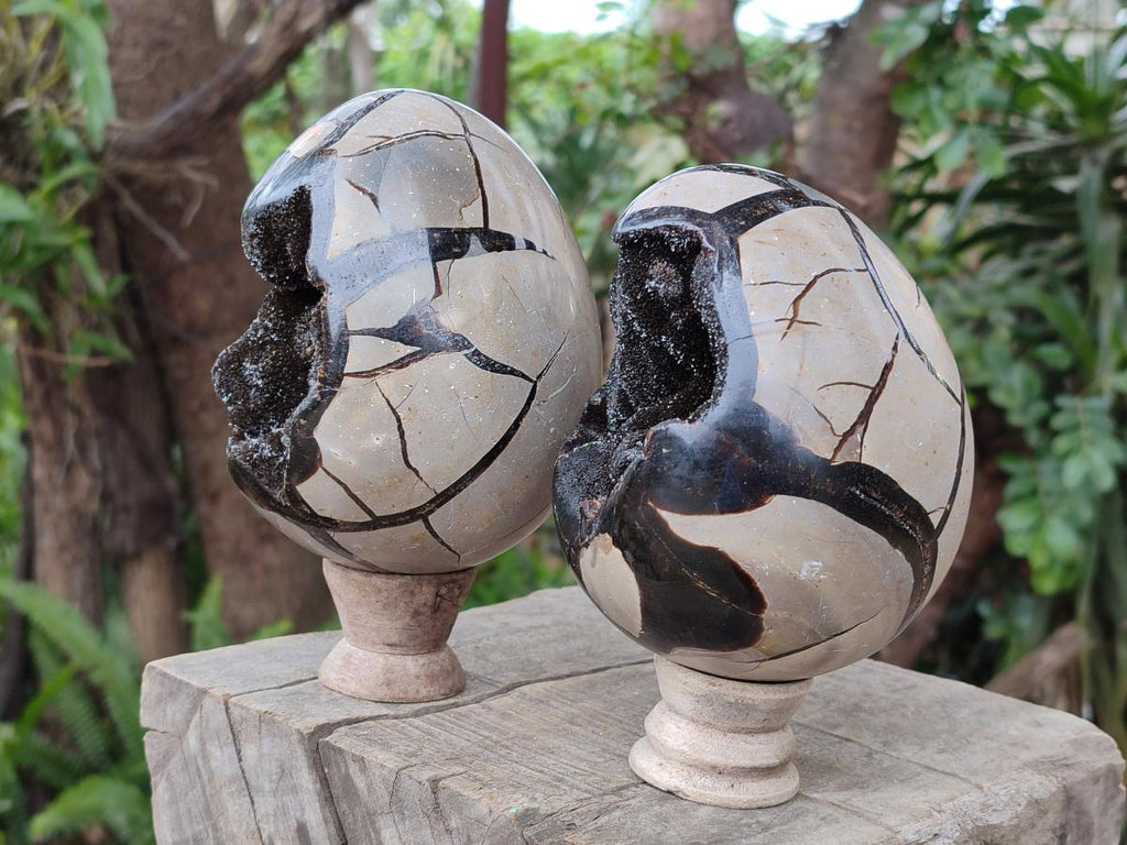 Polished Septerye Sauvage "Dragons Egg" Geodes x 2 From Mahajanga, Madagascar - Toprock Gemstones and Minerals 