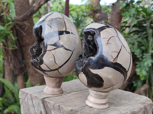 Polished Septerye Sauvage "Dragons Egg" Geodes x 2 From Mahajanga, Madagascar - Toprock Gemstones and Minerals 