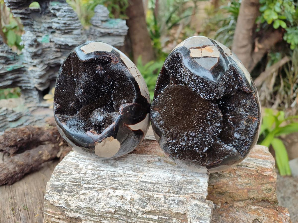 Polished Septerye Sauvage "Dragons Egg" Geodes x 2 From Mahajanga, Madagascar - Toprock Gemstones and Minerals 