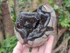 Polished Septerye Sauvage "Dragons Egg" Geodes x 2 From Mahajanga, Madagascar - Toprock Gemstones and Minerals 