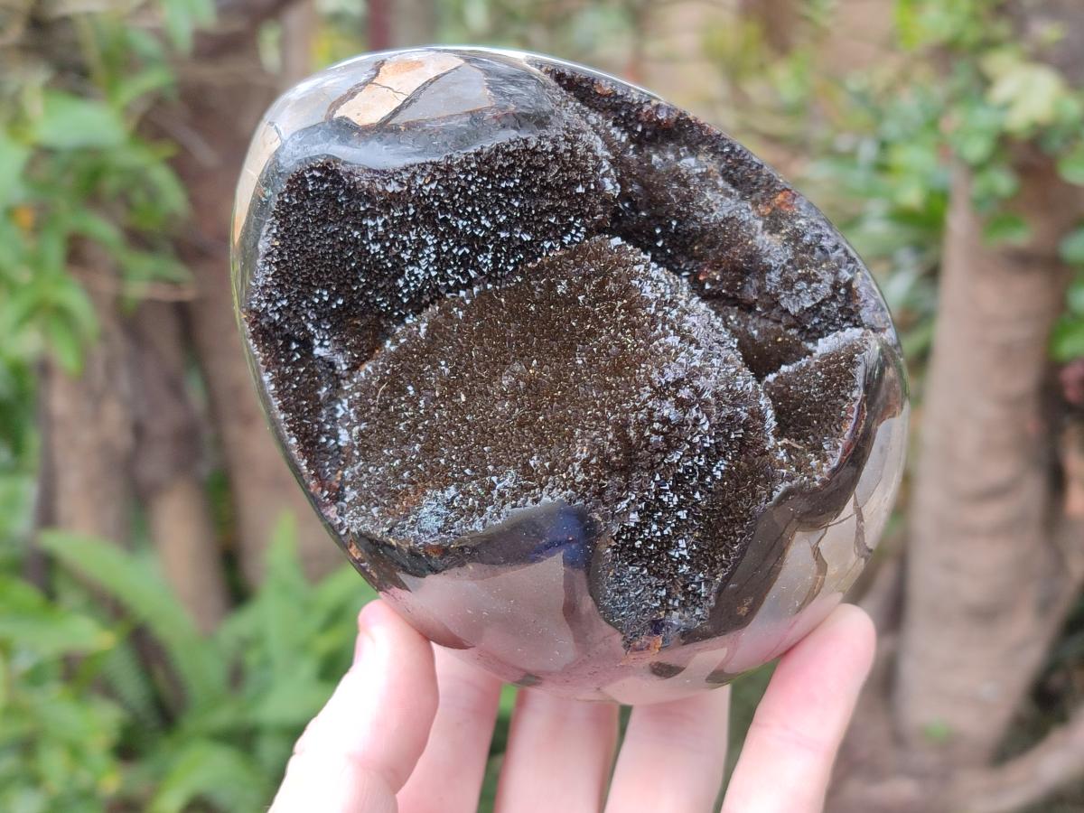 Polished Septerye Sauvage "Dragons Egg" Geodes x 2 From Mahajanga, Madagascar - Toprock Gemstones and Minerals 