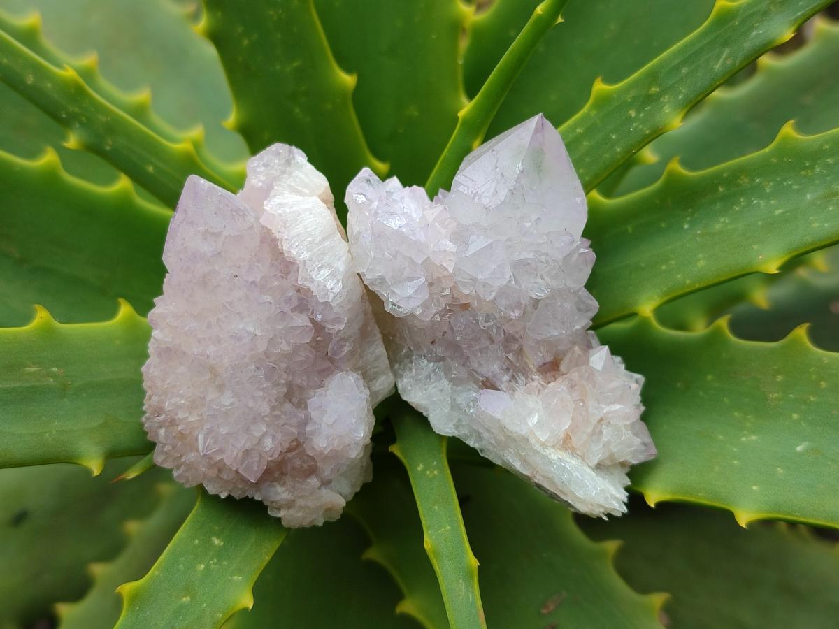 Natural Small Spirit Amethyst Crystals and Clusters x 20 From Boekenhouthoek, South Africa - Toprock Gemstones and Minerals 