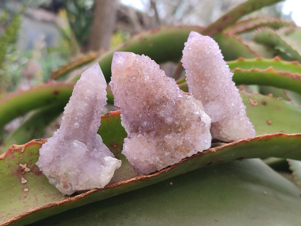Natural Small Spirit Amethyst Crystals and Clusters x 20 From Boekenhouthoek, South Africa - Toprock Gemstones and Minerals 