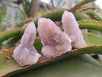 Natural Small Spirit Amethyst Crystals and Clusters x 20 From Boekenhouthoek, South Africa - Toprock Gemstones and Minerals 