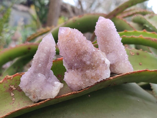 Natural Small Spirit Amethyst Crystals and Clusters x 20 From Boekenhouthoek, South Africa - Toprock Gemstones and Minerals 