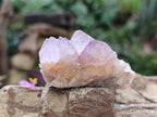 Natural Small Spirit Amethyst Crystals and Clusters x 20 From Boekenhouthoek, South Africa - Toprock Gemstones and Minerals 