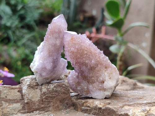 Natural Small Spirit Amethyst Crystals and Clusters x 20 From Boekenhouthoek, South Africa - Toprock Gemstones and Minerals 