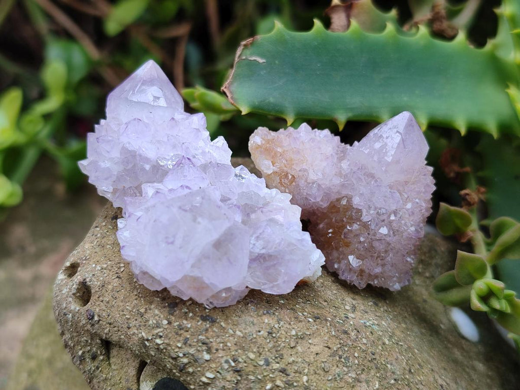Natural Small Spirit Amethyst Crystals and Clusters x 20 From Boekenhouthoek, South Africa - Toprock Gemstones and Minerals 