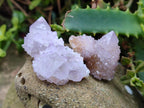 Natural Small Spirit Amethyst Crystals and Clusters x 20 From Boekenhouthoek, South Africa - Toprock Gemstones and Minerals 