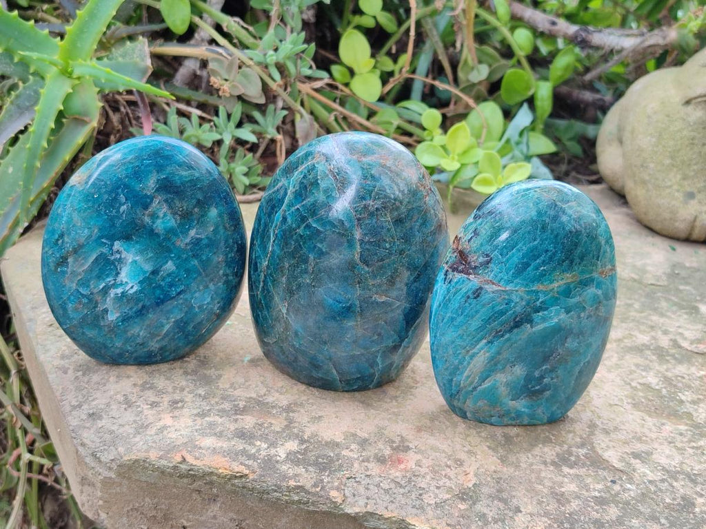 Polished Blue Apatite Standing Display Pieces x 3 From Betroka, Madagascar - Toprock Gemstones and Minerals 