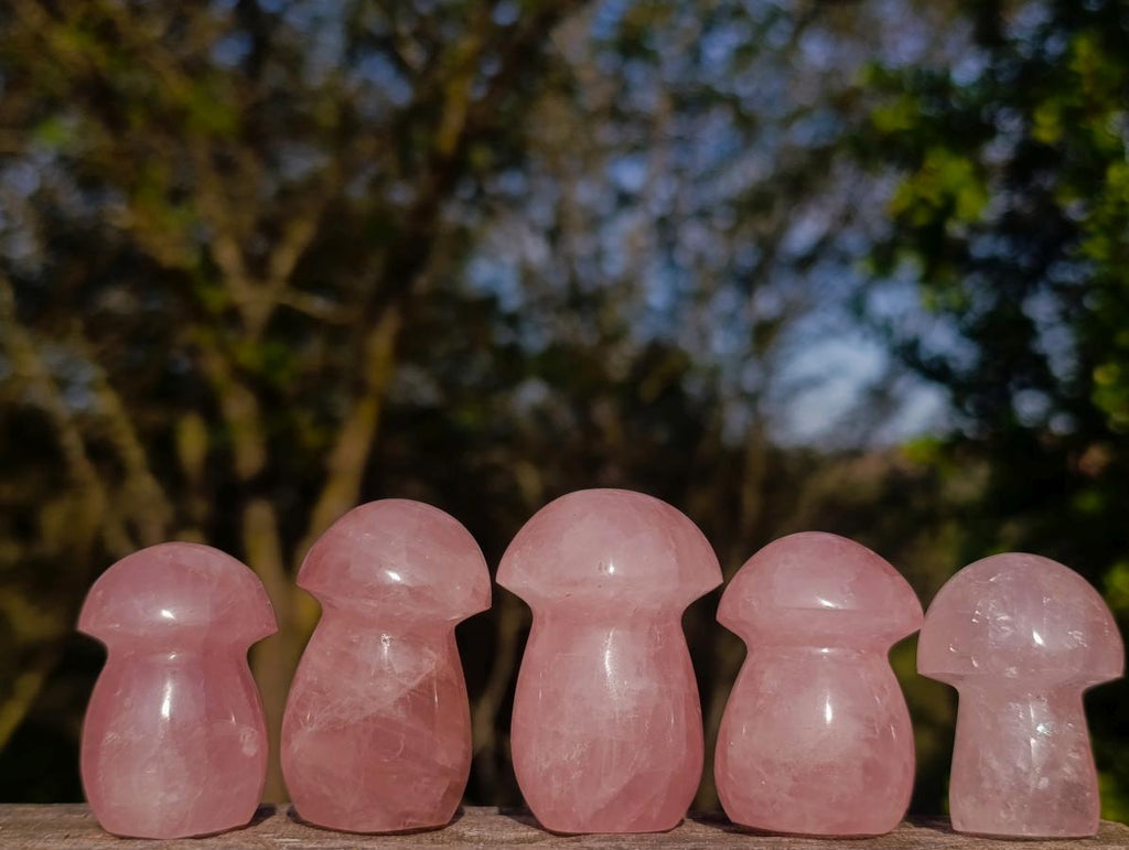 Polished Gemmy Rose Quartz Mushrooms x 35 From Madagascar - Toprock Gemstones and Minerals 