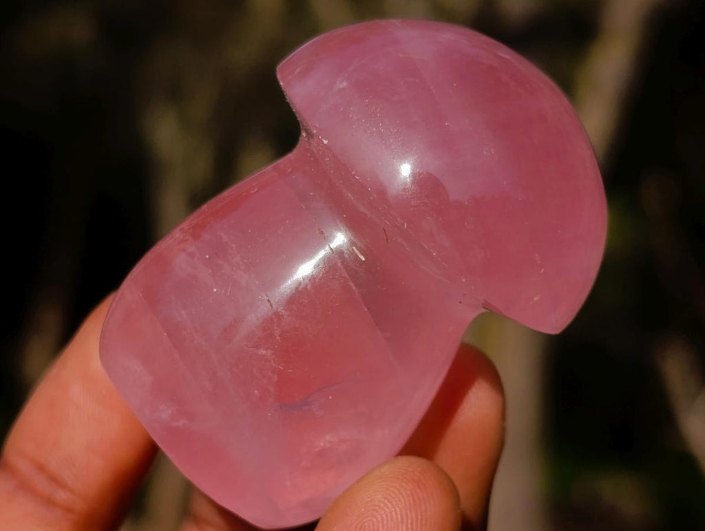 Polished Gemmy Rose Quartz Mushrooms x 35 From Madagascar - Toprock Gemstones and Minerals 