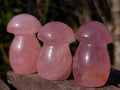 Polished Gemmy Rose Quartz Mushrooms x 35 From Madagascar - Toprock Gemstones and Minerals 