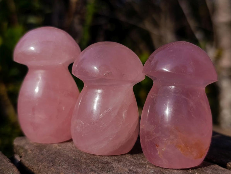 Polished Gemmy Rose Quartz Mushrooms x 35 From Madagascar - Toprock Gemstones and Minerals 