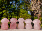 Polished Gemmy Rose Quartz Mushrooms x 35 From Madagascar - Toprock Gemstones and Minerals 