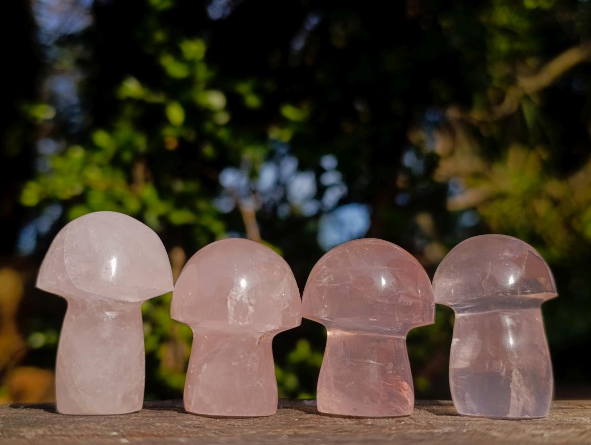 Polished Gemmy Rose Quartz Mushrooms x 35 From Madagascar - Toprock Gemstones and Minerals 