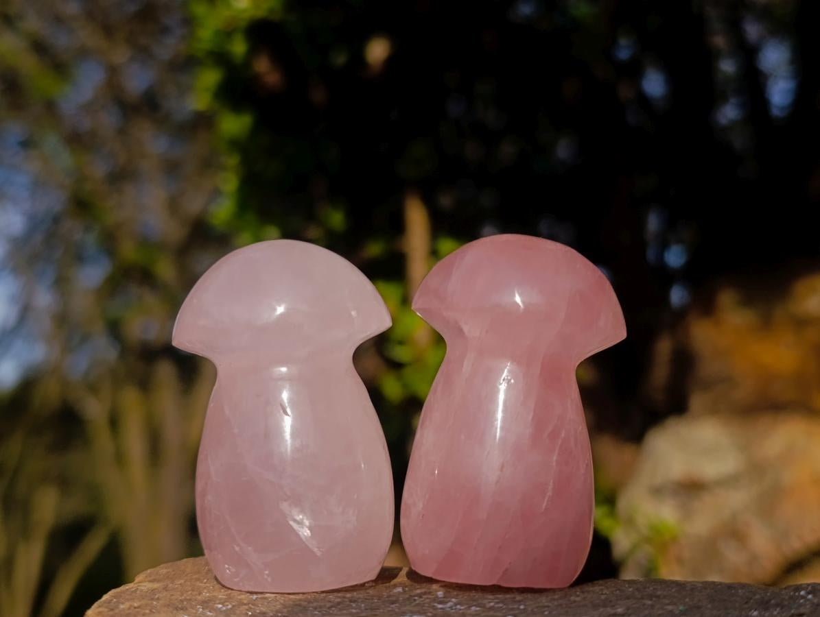 Polished Gemmy Rose Quartz Mushrooms x 35 From Madagascar - Toprock Gemstones and Minerals 