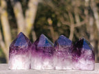 Polished Small Dark Window Amethyst Crystals x 35 From Akansobe, Madagascar - Toprock Gemstones and Minerals 