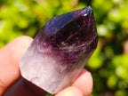 Polished Small Dark Window Amethyst Crystals x 35 From Akansobe, Madagascar - Toprock Gemstones and Minerals 