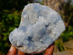 Natural Blue Celestite Specimens x 3 From Sakoany, Madagascar - Toprock Gemstones and Minerals 