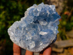 Natural Blue Celestite Specimens x 3 From Sakoany, Madagascar - Toprock Gemstones and Minerals 
