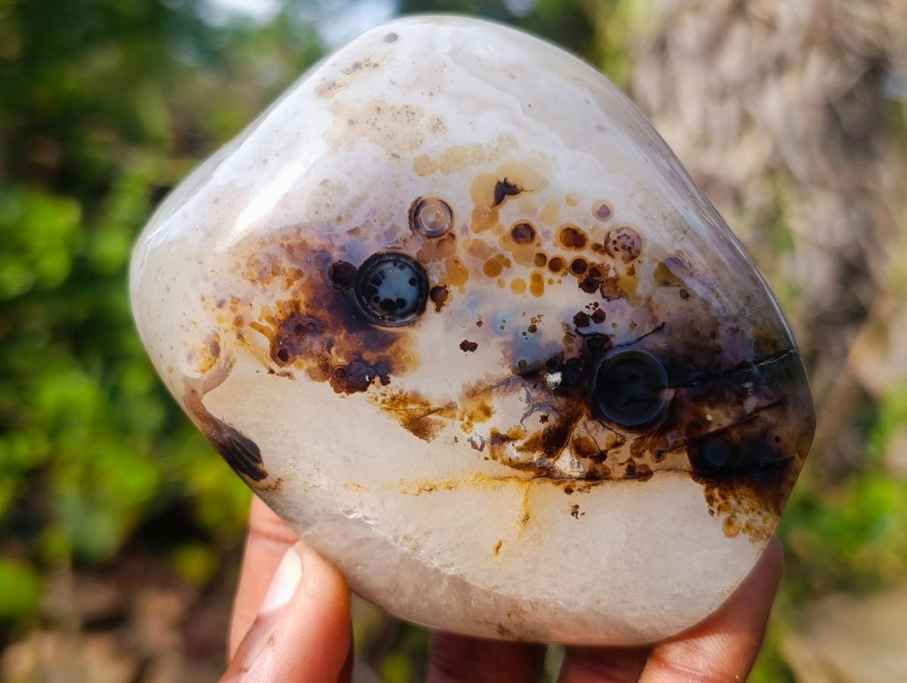 Polished on One Side Dendritic Agate Standing Display Pieces x 4 From Moralambo, Madagascar - Toprock Gemstones and Minerals 