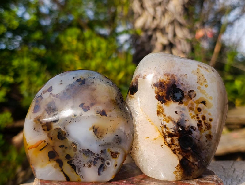 Polished on One Side Dendritic Agate Standing Display Pieces x 4 From Moralambo, Madagascar - Toprock Gemstones and Minerals 