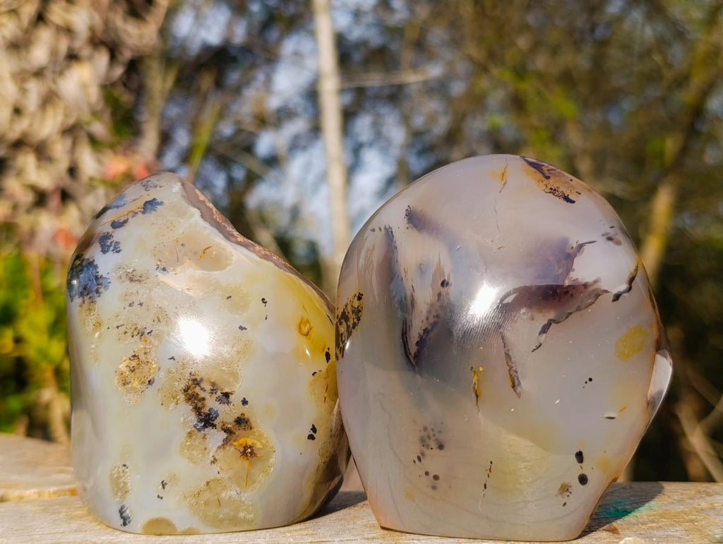 Polished on One Side Dendritic Agate Standing Display Pieces x 4 From Moralambo, Madagascar - Toprock Gemstones and Minerals 
