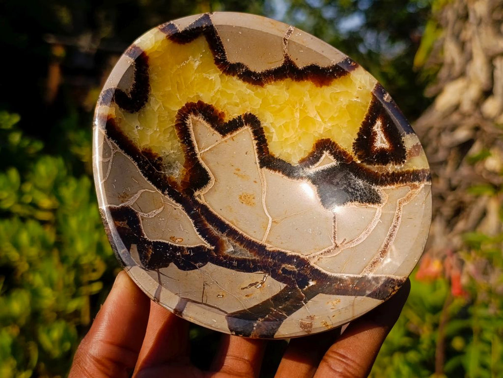 Polished Septerye Bowls x 2 From Mahajanga, Madagascar - Toprock Gemstones and Minerals 