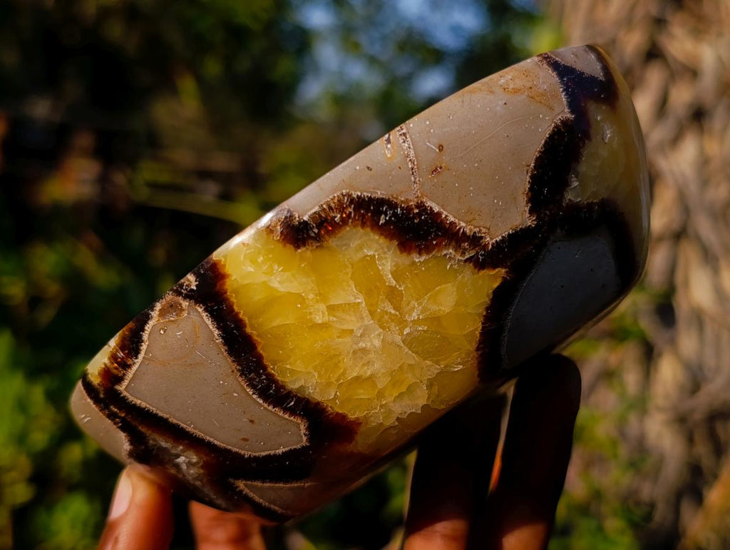 Polished Septerye Bowls x 2 From Mahajanga, Madagascar - Toprock Gemstones and Minerals 