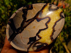 Polished Septerye Bowls x 2 From Mahajanga, Madagascar - Toprock Gemstones and Minerals 