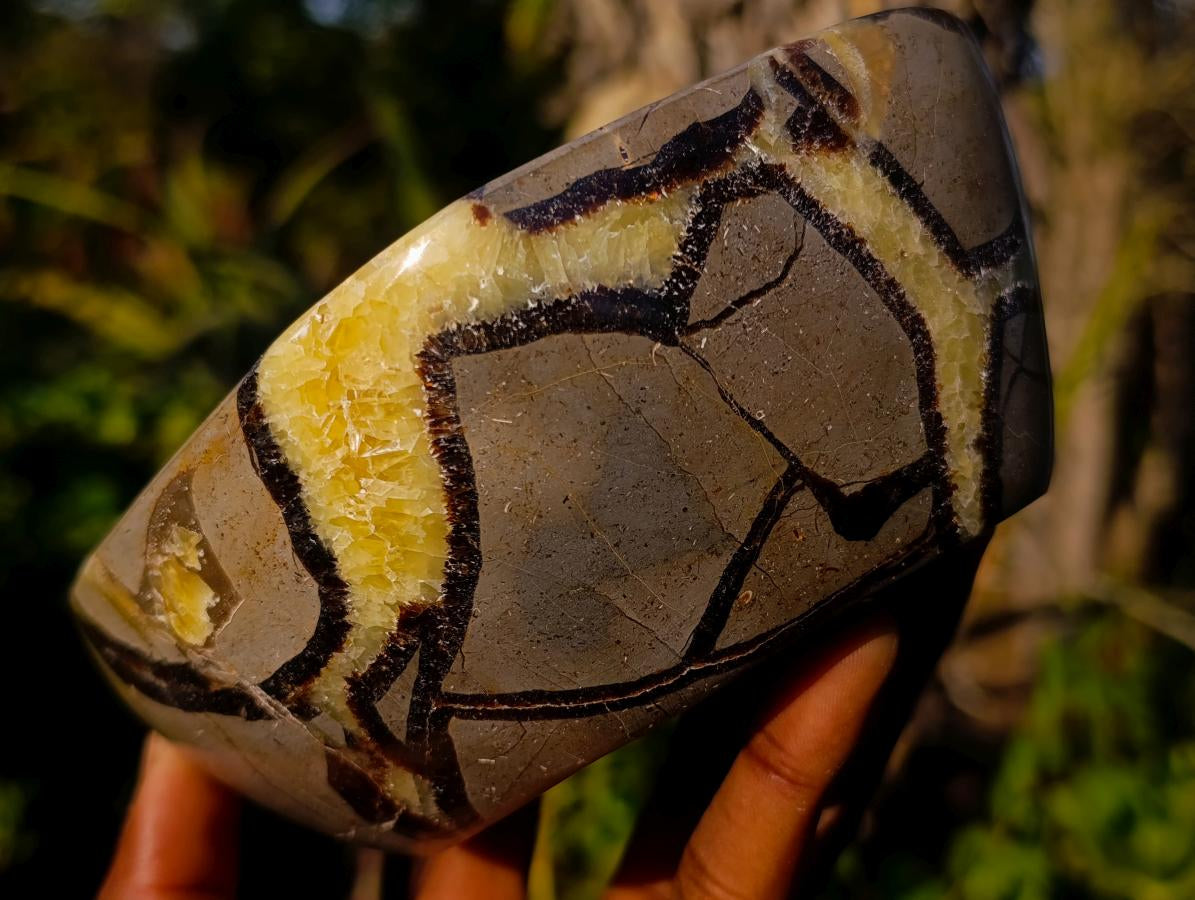 Polished Septerye Bowls x 2 From Mahajanga, Madagascar - Toprock Gemstones and Minerals 