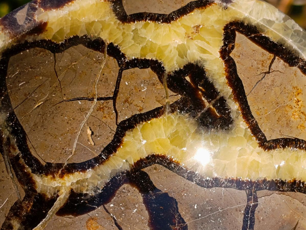 Polished Septerye Bowls x 2 From Mahajanga, Madagascar - Toprock Gemstones and Minerals 