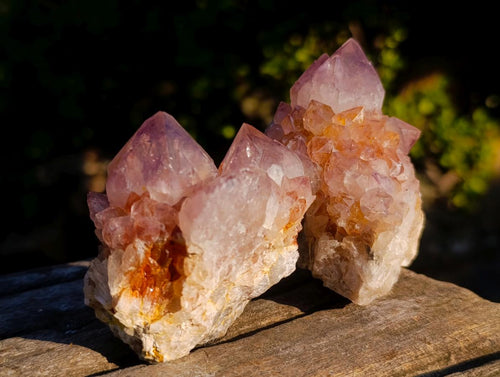 Natural Spirit Amethyst Crystals and Clusters x 12 From Boekenhouthoek, South Africa - Toprock Gemstones and Minerals 