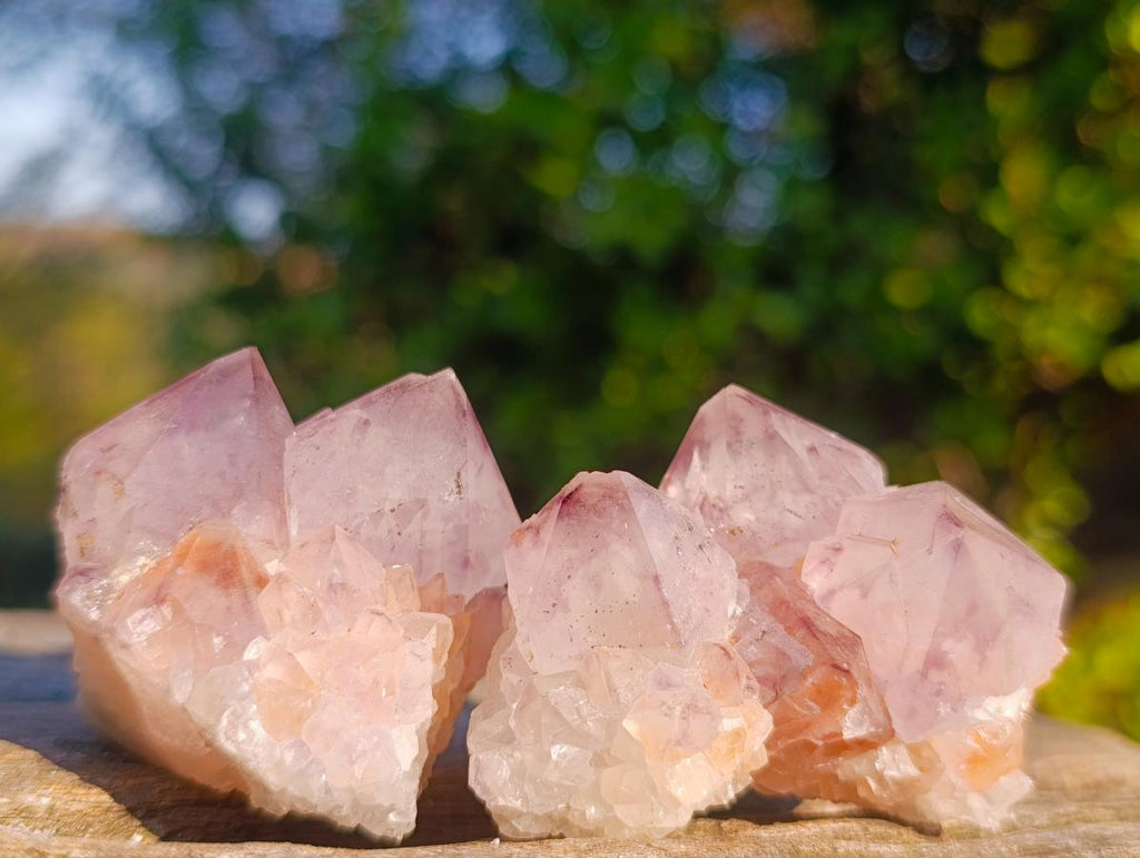 Natural Spirit Amethyst Crystals and Clusters x 12 From Boekenhouthoek, South Africa - Toprock Gemstones and Minerals 