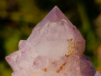 Natural Spirit Amethyst Crystals and Clusters x 12 From Boekenhouthoek, South Africa - Toprock Gemstones and Minerals 
