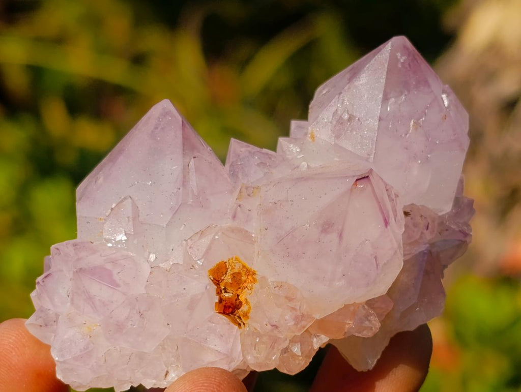Natural Spirit Amethyst Crystals and Clusters x 12 From Boekenhouthoek, South Africa - Toprock Gemstones and Minerals 